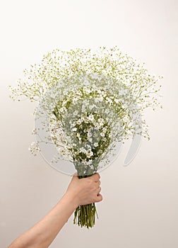 Human hand holding white flower bouquet on gray beige interior wall. Minimalist still life. Light and shadow nature copy space