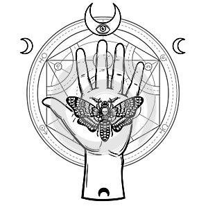 Human hand holds a moth Dead Head. Symbols of the moon, alchemical circle of transformations.