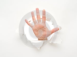 Human hand in hole in white empty paper poster