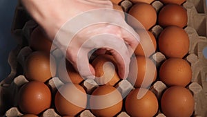 a human hand lift a raw chicken egg