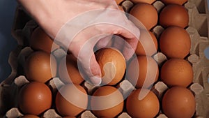 a human hand lift a raw chicken egg