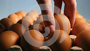 a human hand lift a raw chicken egg