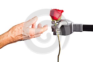 Human hand receiving rose from artificial hand