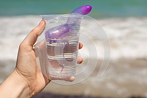 Human hand showing a plastic cup with a stinging marine bluebottle