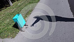 Human hand silhouette and green garbage urn on street under bright sunlight