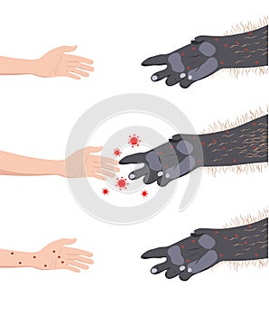 Human hand touching monkey's paw. transmission of the monkeypox virus from apes to humans