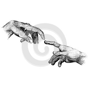 Human hands