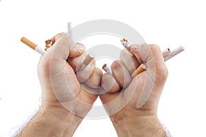 Human hands breaking cigarettes