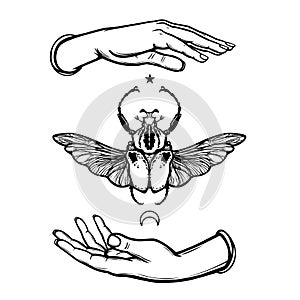 Human hands hold Goliath`s bug. Symbol of the moon. Mystical allegory.