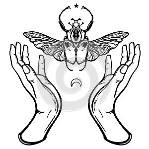 Human hands hold Goliath`s bug. Symbols of the moon. Mysticism, esoterics, sorcery.