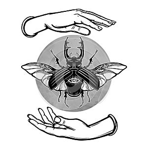 Human hands hold a horned bug. Circle of the moon. Esoteric symbol.