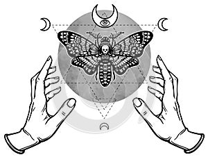 Human hands hold a moth the Dead Head.