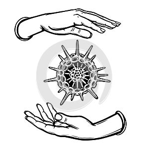 Human hands hold a skeleton of a radiolaria. Coloring book.