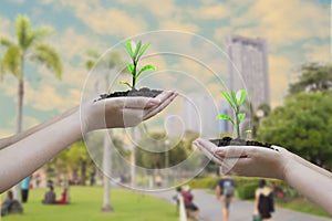 Human hands hold trees growing in hands, with blurred city landscape and skyscrapers backgrounds , Go green concept and nature