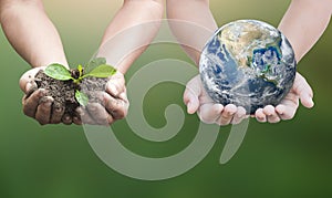 Human hands holding globe and tree