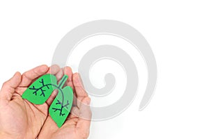 Human hands holding green healthy lungs. White background, top view with copy space.