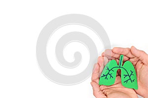 Human hands holding green healthy lungs. White background, top view with copy space.