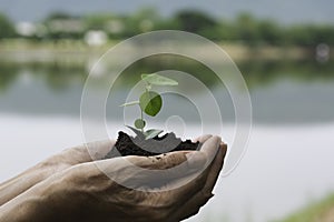 Human hands holding green small plant life concept. Ecology concept