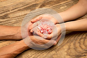 Human hands holding tender summer flower together isolated on wooden background with copyspace