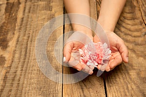 Human hands holding tender summer flower together isolated on wooden background with copyspace