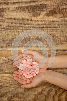 Human hands holding tender summer flower together isolated on wooden background with copyspace