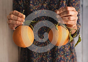 Human hands holding two oranges