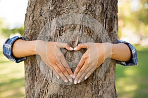 Human hands hugging tree