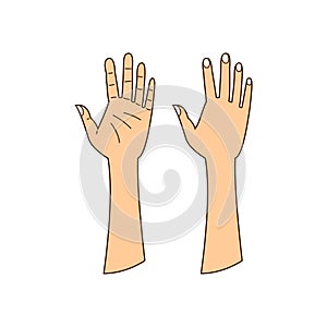 Human hands, isolated linear illustration, human body parts isolated
