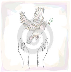 Human hands and peace dove illustration EPS10 file. photo