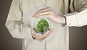 Human hands protecting tree