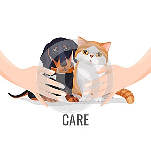 Human hands take care about cute pets dog and cat