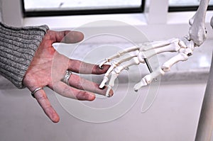 Human hands touching hand bones
