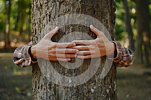 Human hands touching tree green forest in tropical woods, hug tree or protect environment, co2, net zero concept, pollution or