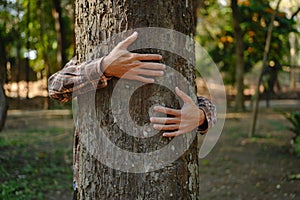 Human hands touching tree green forest in tropical woods, hug tree or protect environment, co2, net zero concept, pollution or