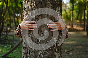 Human hands touching tree green forest in tropical woods, hug tree or protect environment, co2, net zero concept, pollution or