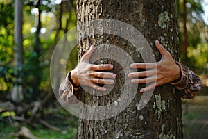 Human hands touching tree green forest in tropical woods, hug tree or protect environment, co2, net zero concept, pollution or