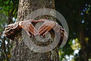 Human hands touching tree green forest in tropical woods, hug tree or protect environment, co2, net zero concept, pollution or