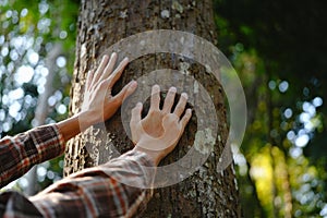 Human hands touching tree green forest in tropical woods, hug tree or protect environment, co2, net zero concept, pollution or