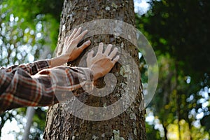 Human hands touching tree green forest in tropical woods, hug tree or protect environment, co2, net zero concept, pollution or