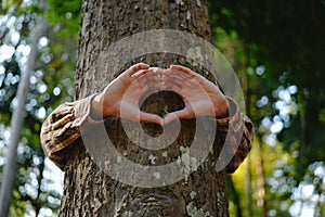 Human hands touching tree green forest in tropical woods, hug tree or protect environment, co2, net zero concept, pollution or