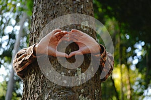 Human hands touching tree green forest in tropical woods, hug tree or protect environment, co2, net zero concept, pollution or