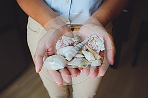 Human hands, women holding seashells, starfish