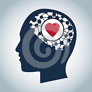 Human head brain heart function medical