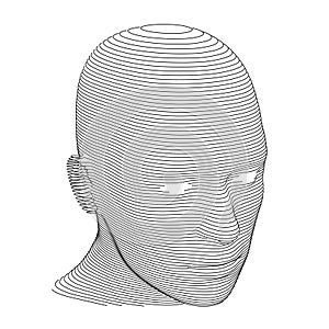 Human Head in Horizontal Lines or Slices. Three Quarters View