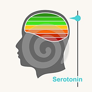 Human head and hormone serotonin level scale. Concept of medicine and pharmacy