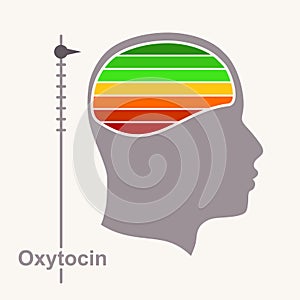 Human head and oxytocin love hormone level scale. Concept of medicine and pharmacy