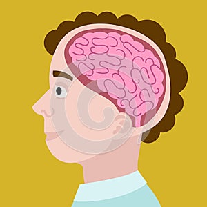 Human head in section cartoon vector illustration