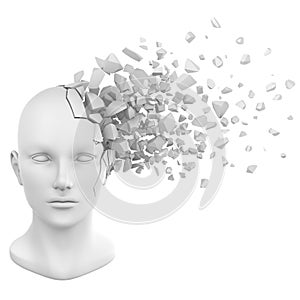 Human head shatter white