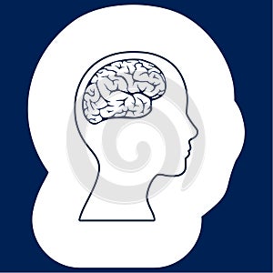 Human head silhouette and structure of the brain