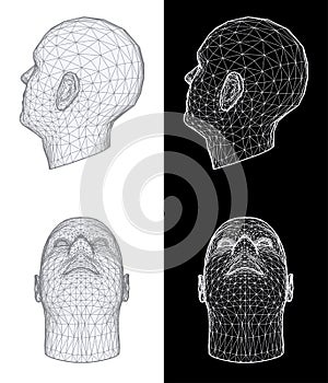 Human head. Vector Illustration